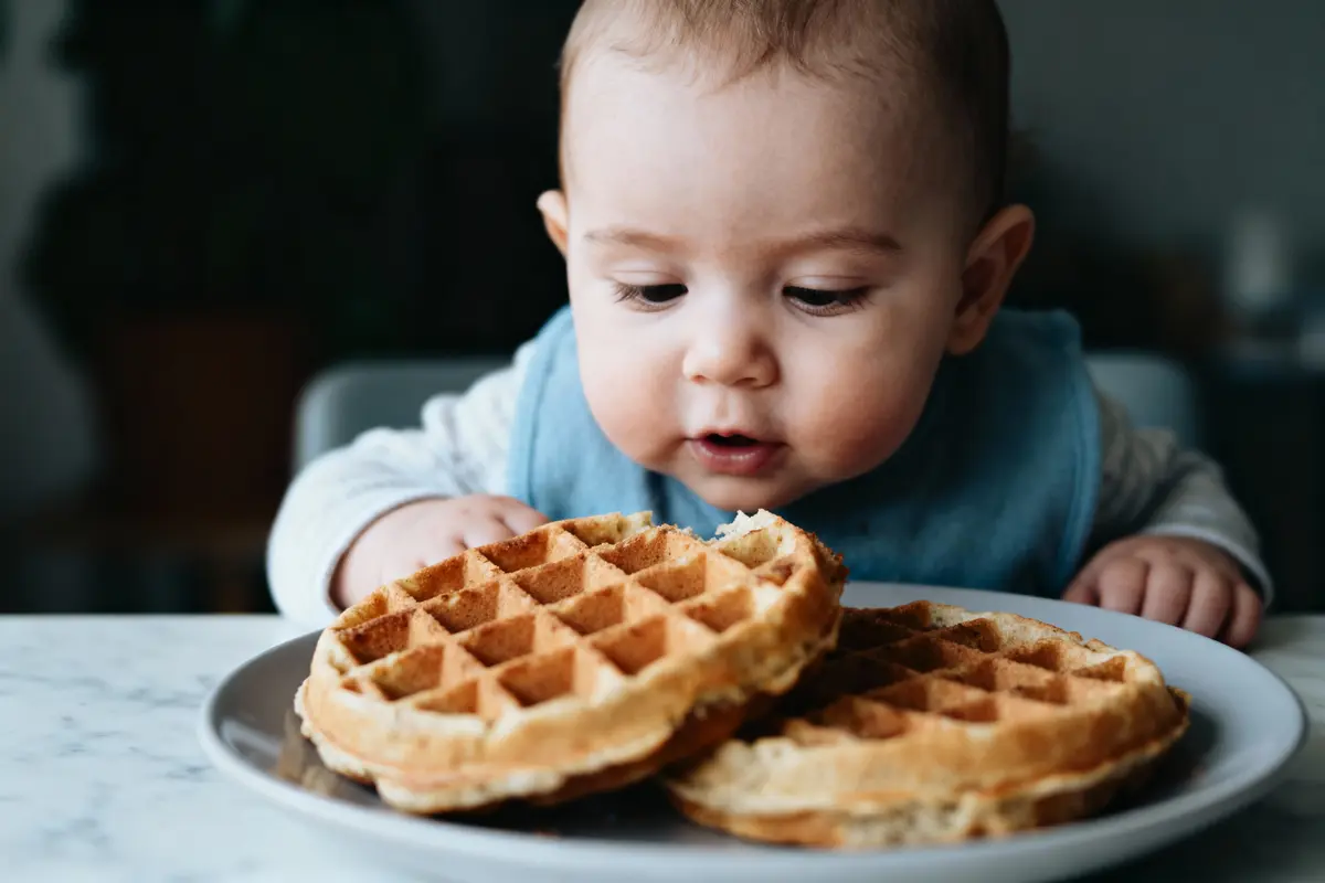 Bébé curieux avec bavoir, observe des gaufres sur une assiette, sur une table en intérieur.