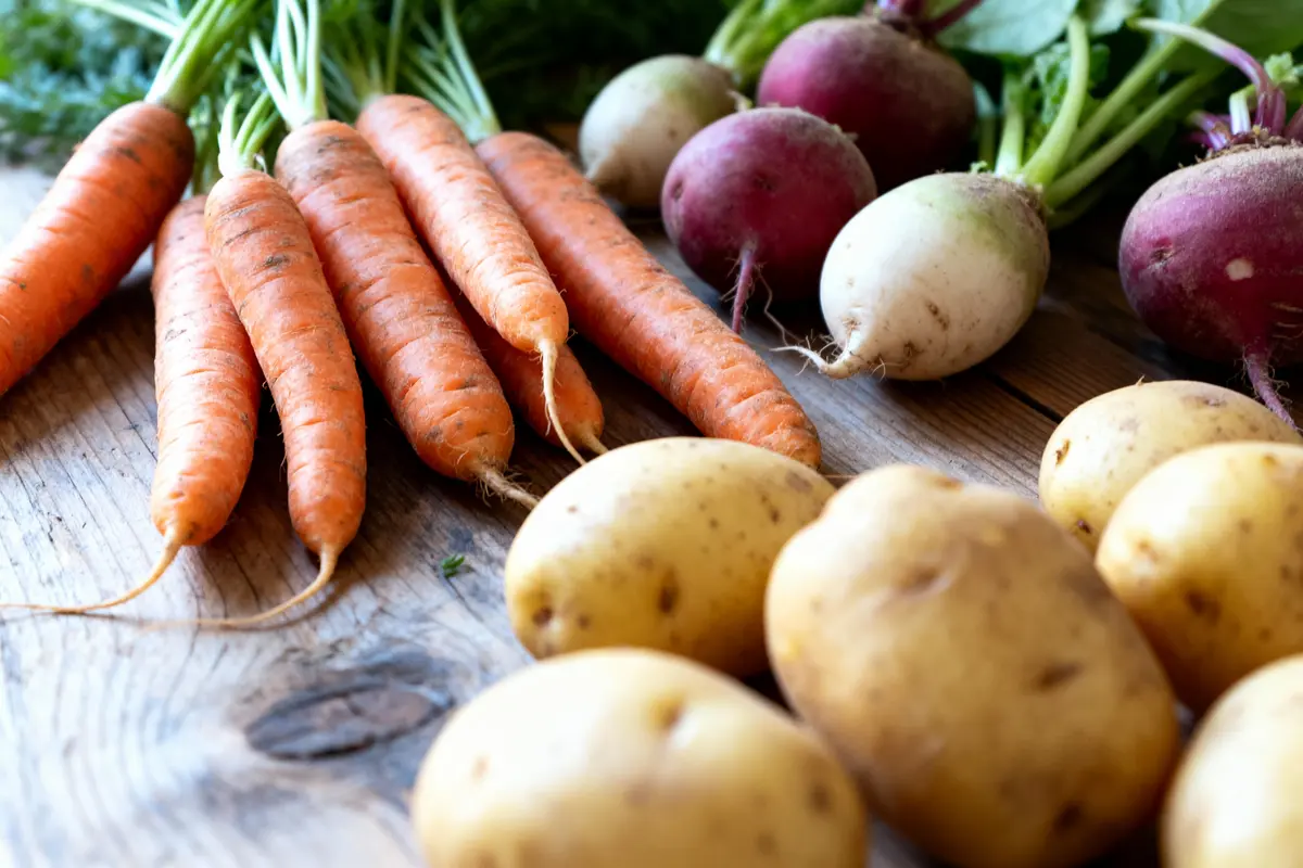 Carottes, pommes de terre et navets colorés sur une table en bois. Légumes frais et variés.