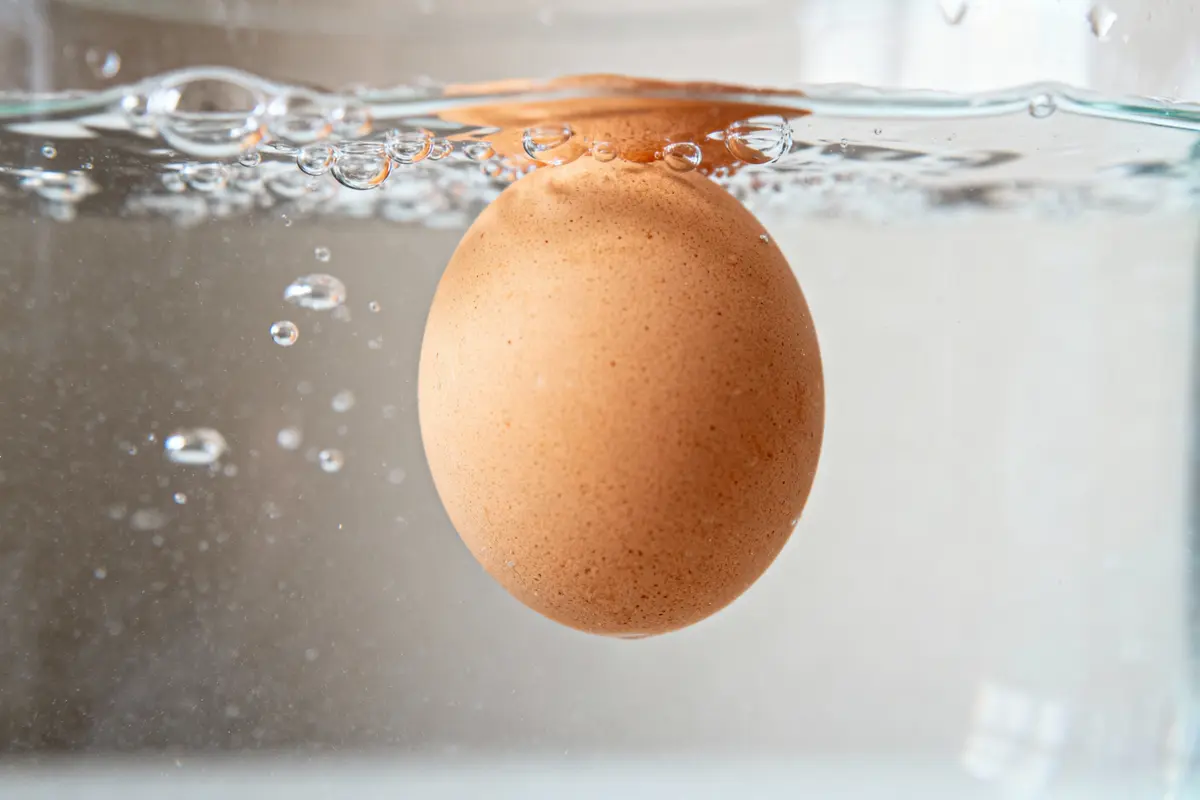 Œuf brun flottant verticalement dans un récipient rempli d'eau, bulles visibles autour.