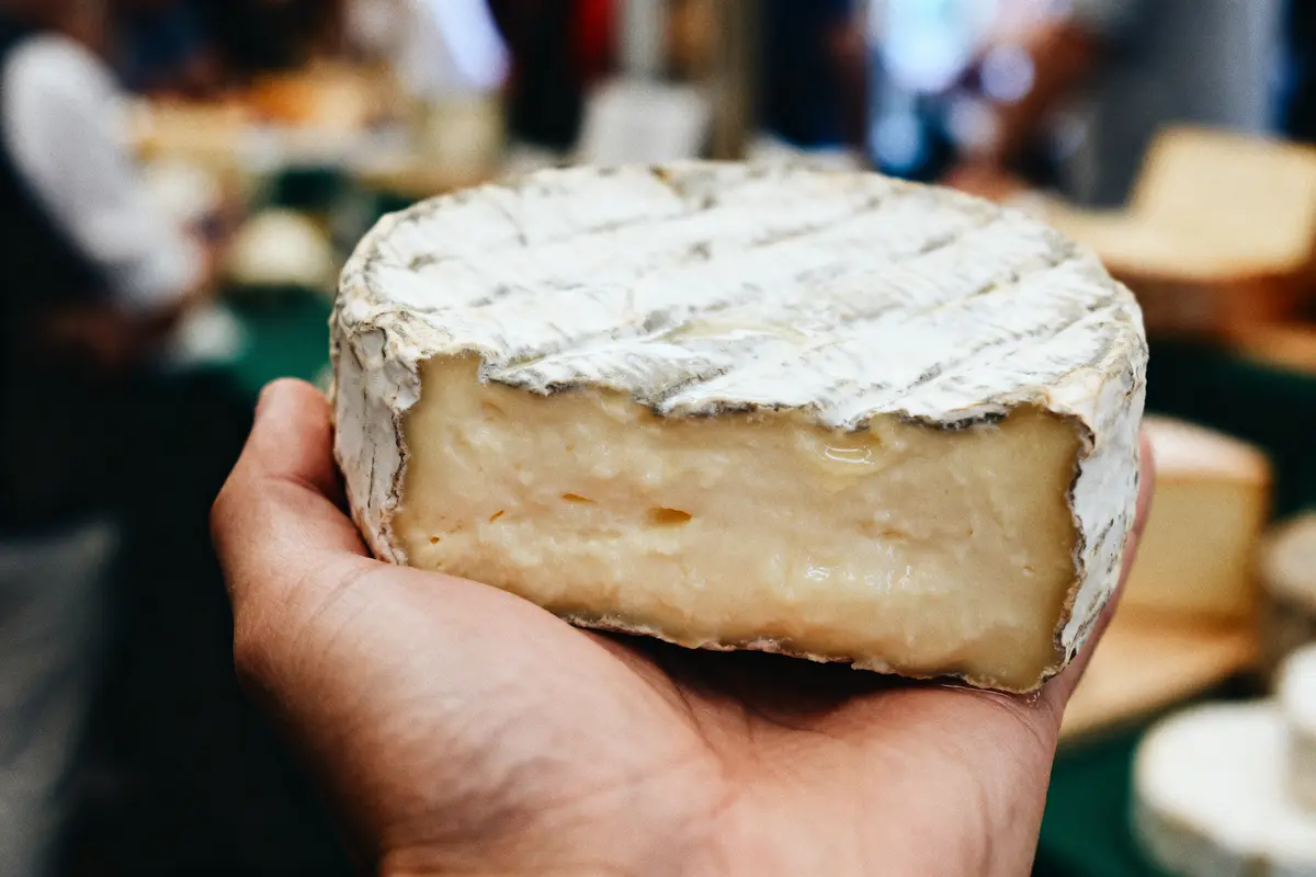Personne tenant un fromage à pâte molle et croûte fleurie, texture crémeuse, arrière-plan flou.