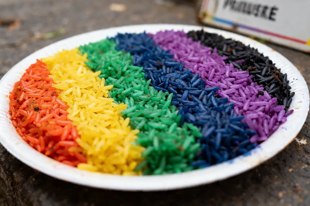 Riz coloré arc-en-ciel sur assiette pour célébration Pride Rice en extérieur