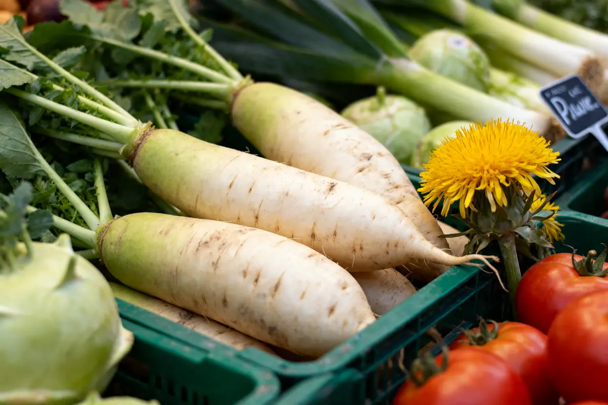 Radis et légumes par D avec pissenlit et tomates sur un marché coloré