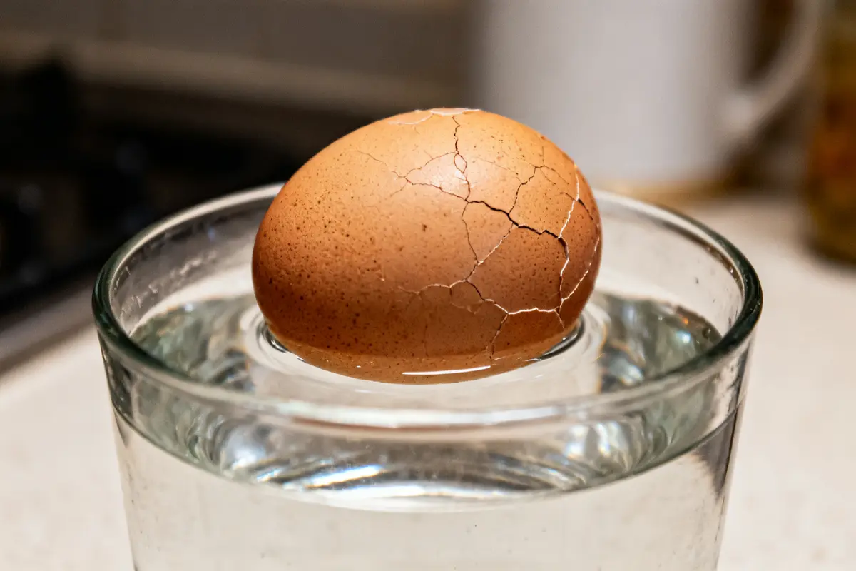 Oeuf périmé flottant avec coquille fissurée dans un verre d'eau
