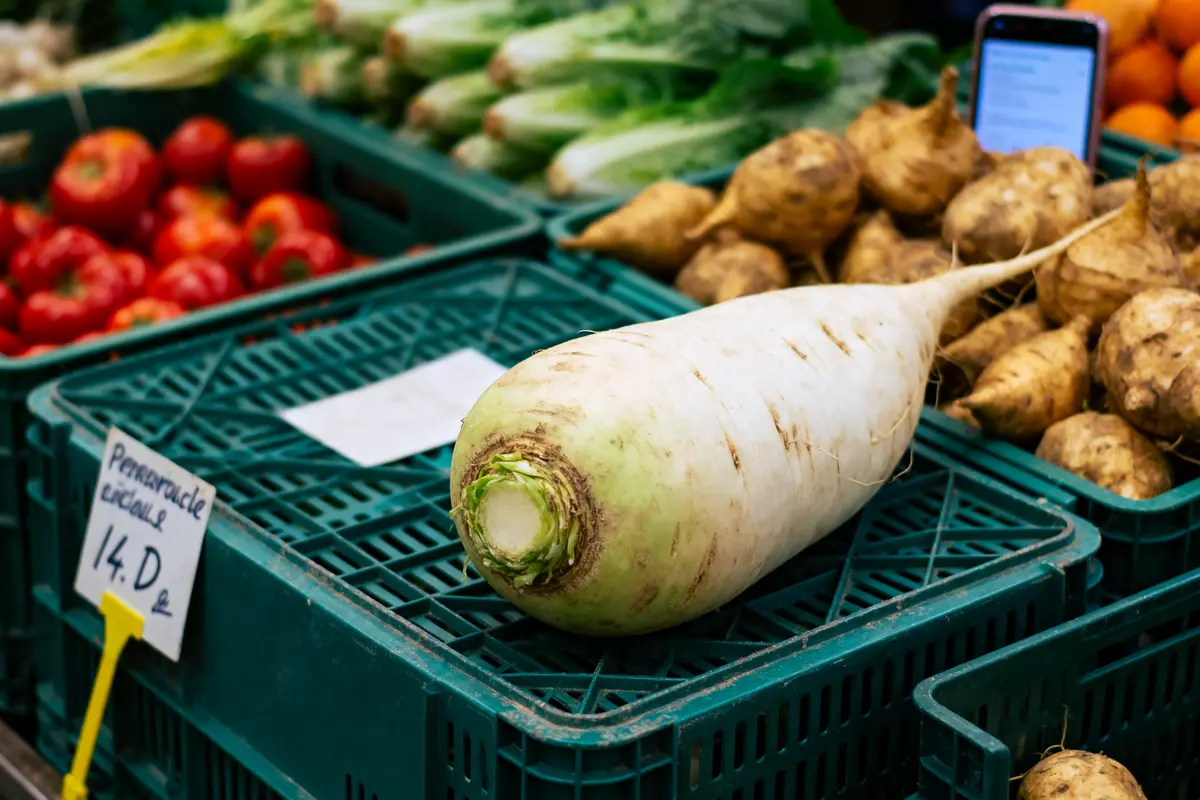 Radis blanc sur étal de marché aux légumes, avec prix affiché en arrière-plan.